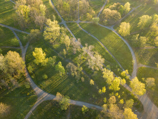 Natural city park in the rays of dawn. Dirt footpaths among the trees. Aerial drone view.