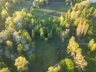 Fototapeta na wymiar Natural city park in the rays of dawn. Dirt footpaths among the trees. Aerial drone view.