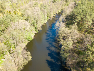 Stream among green trees in spring. Aerial drone view.