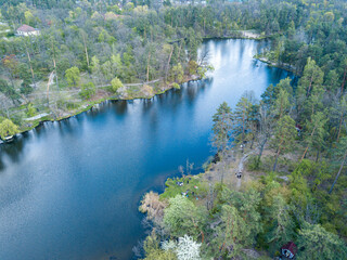 Stream among green trees in spring. Aerial drone view.