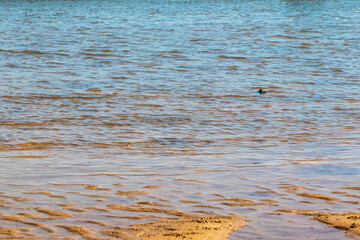 穏やかな波が打ち寄せる砂浜