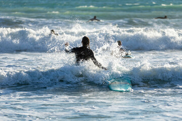 Fototapeta premium Surfer joins his friends surfing in the waves. Surf in Mediterranean coast. Image with sunset lights and selective focus.