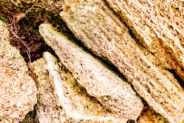 Wooden texture with scratches and cracks. It can be used as a background