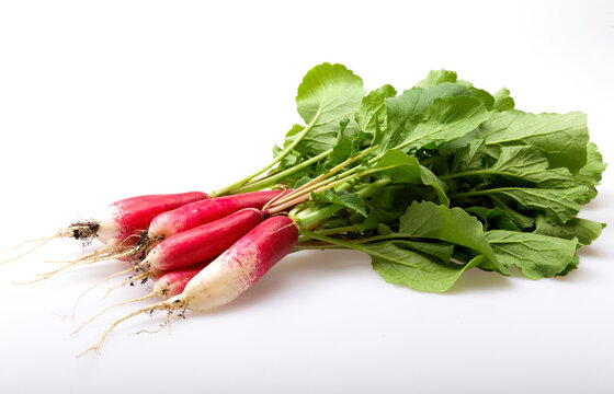 Bunch of French Breakfast Radishes on a white background