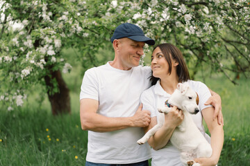 Family play Jack Russell Terrier dog in meadow. Family hugging Jack Russell Terrier dog in nature. Beautiful dog.