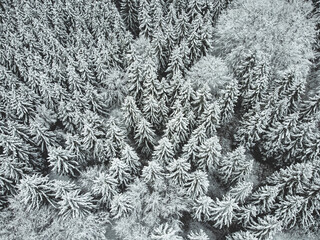 Wald Schnee Drohne