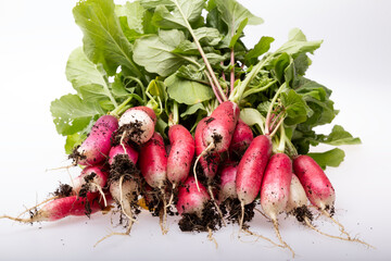 Bunch of Radishes with soil on a white background