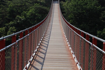 suspension bridge over 