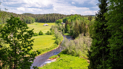 Fototapeta na wymiar Quiet and green summer landscape with river, trees, houses, stones and summer sun, in Latvia by the Amata river and Zvārgzde rock