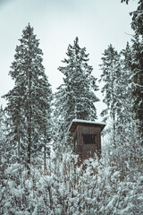 Hochstand Winter Wald