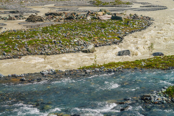 Sunny alpine landscape with confluence of two various mountain rivers. Beautiful clear creek flows into dirty river. Colorful mountain scenery with confluence of two different rivers among rich flora.