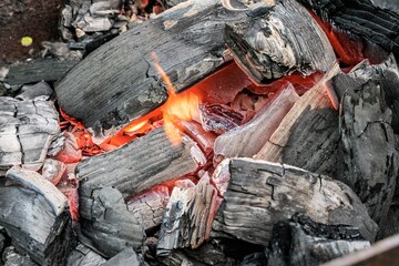 Tongues of orange fire among lumps of black birch coal.