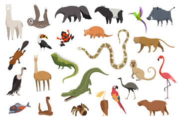 Animals of south america. Nature fauna collection. Geographical local fauna. Mammals living on continent. Vector illustration in kids style