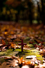 가을 풍경 낙엽과 그 일상 그리고 십자가