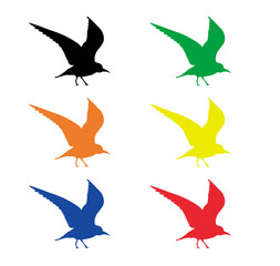 Fototapeta premium neko1