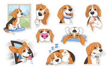 Cute beagle dog sticker pack