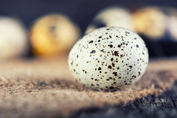 One quail egg close up. Fresh quail egg on a brown wooden table. Concept of preparation for cooking. selective focus