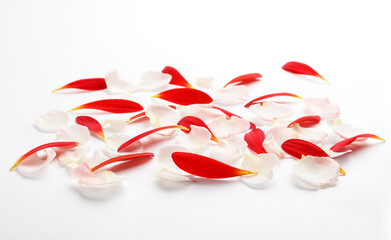 Pile of beautiful petals on white background