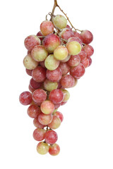 Red fresh grapes isolated on white background