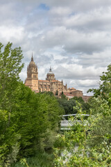 Fototapeta na wymiar Majestic view at the gothic building at the Salamanca cathedral tower cupola dome and University of Salamanca tower cupola dome, surrounding vegetation and tormesriver