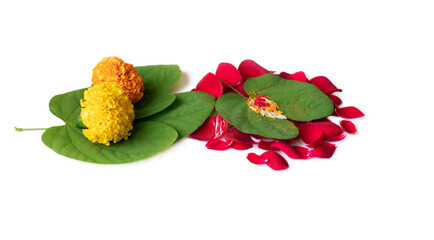 Happy Dussehra greeting card apta leaf Indian Festival Greeting Card - Happy Dussehra on white background. Greeting card