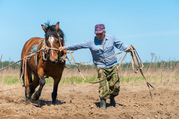Man farmer with a horse harrowing a field on a sunny day. Concept of spring work in the field