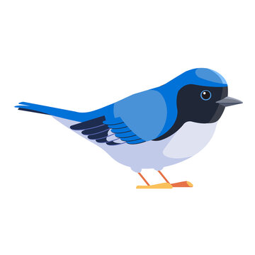 Blue warbler is a small passerine bird of the New World warbler family. Black-throated blue warbler Bird Cartoon flat style beautiful character of ornithology, vector illustration isolated on white
