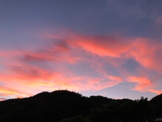 Obraz premium the pink sky in the country