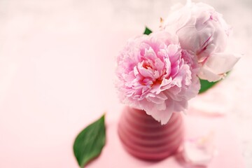 Naklejka na ściany i meble Beautiful pink peony flower background with copy space, selective focus