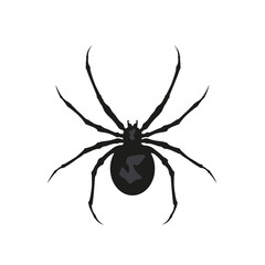 Poisonous spider black widow, spider silhouette latrodectus tredecimguttatus.