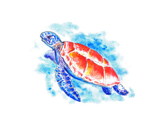 A bright turtle floats to the surface, drawing in watercolor.