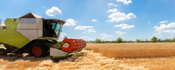 Scenic side profile view Big powerful industrial combine harvester machine reaping golden ripe wheat cereal field bright summer or autumn day. Agricultural yellow field machinery landscape background