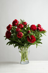 Beautiful bouquet of red peony flowers in glass vase on white table