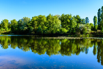 Lake in the forest on summer. Reflection of trees in water