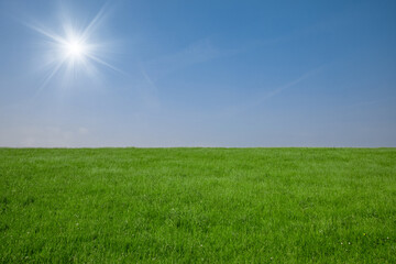 Fototapeta na wymiar landscape of green grass field and blue sky with sun