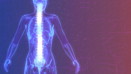 human spine on x ray body, cg healthcare 3d illustration