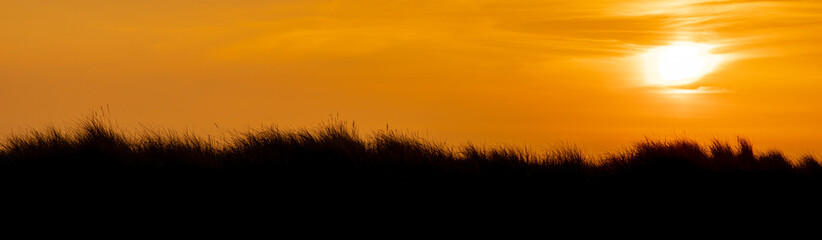Fototapeta premium sunset in the sky - sky background