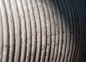 close up of grungy plastic planter