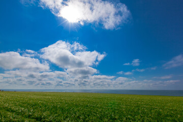 field on a sunny day against the backdrop of a cloudy sky