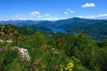 Fototapeta na wymiar Lago di Lugano dal Poncione di Ganna