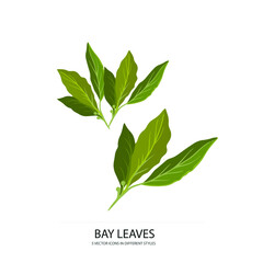 bay leaves