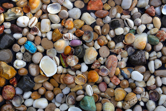 Pebble Images