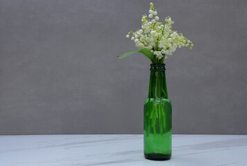 Small bunch of white lilies valley in green bottle on gray background as minimalistic concept of freshness and naturalness. 

