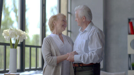 Loving and happy elderly couple in a modern apartment looking at each other