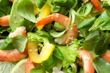 Shrimp salad with different ingredients, close up