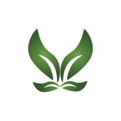  green Tree leaf ecology vector