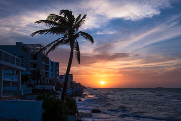 Obraz premium Sunset on the horizon over the Atlantic Ocean, Silhouette of the beach and a tall palm tree. 