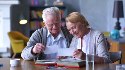 Cheerful senior couple browsing album with their photographs