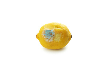 Lemon with mold isolated on white background