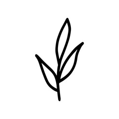Obraz premium Hand-drawn botanical element on white background. Black plant doodle vector.